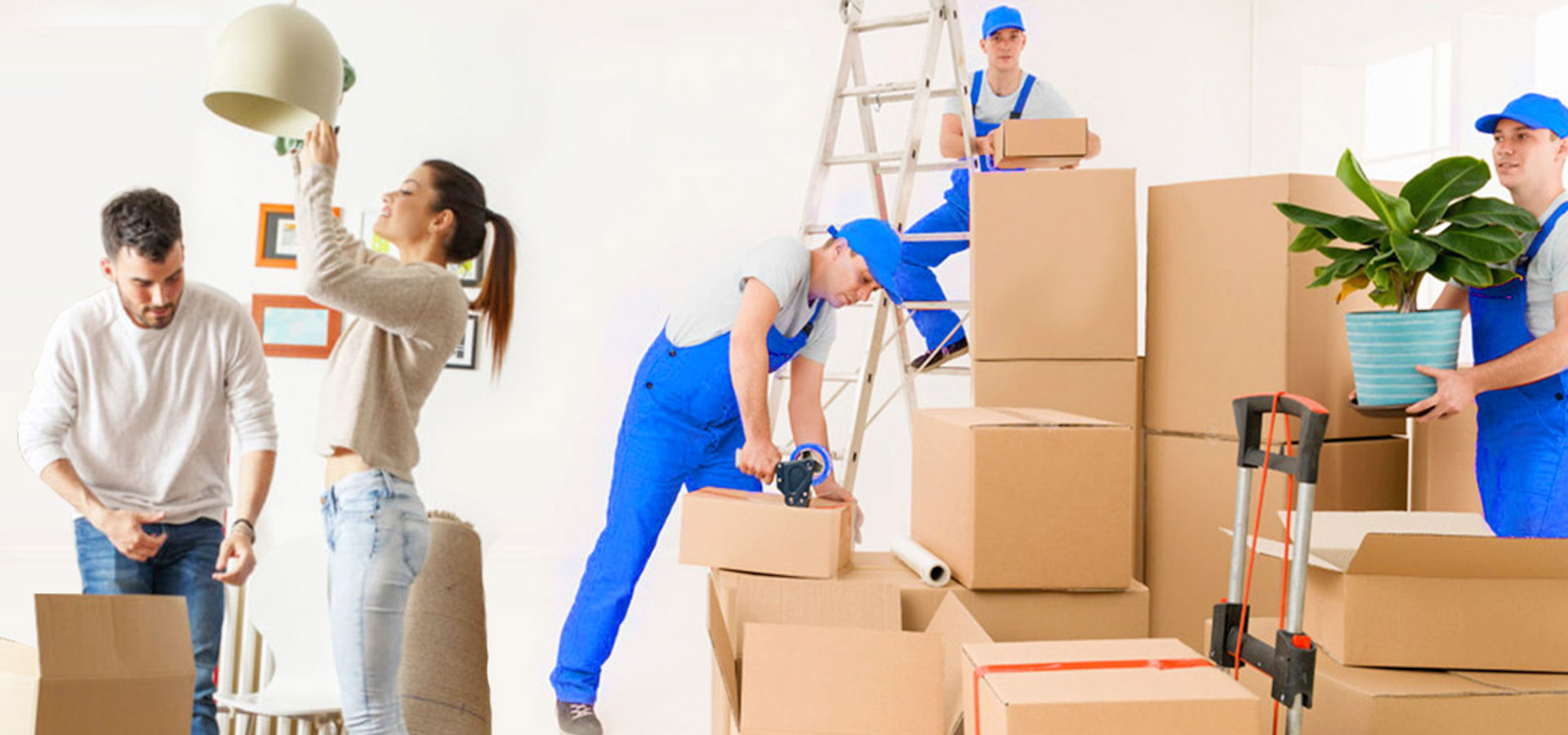 sdn packers and movers